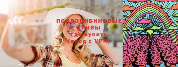 ПСИЛОЦИБИНОВЫЕ ГРИБЫ Алексин