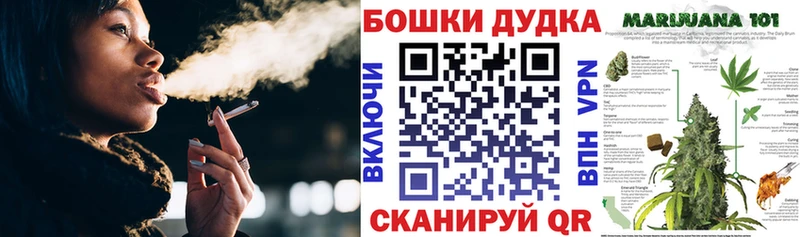 где купить наркоту  Алексеевка  Бошки марихуана сатива 
